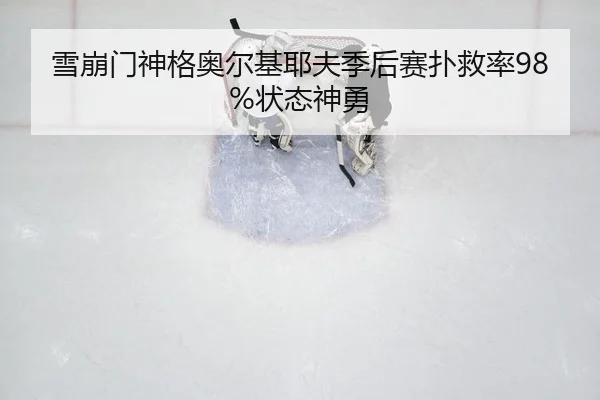 雪崩门神格奥尔基耶夫季后赛扑救率98%状态神勇