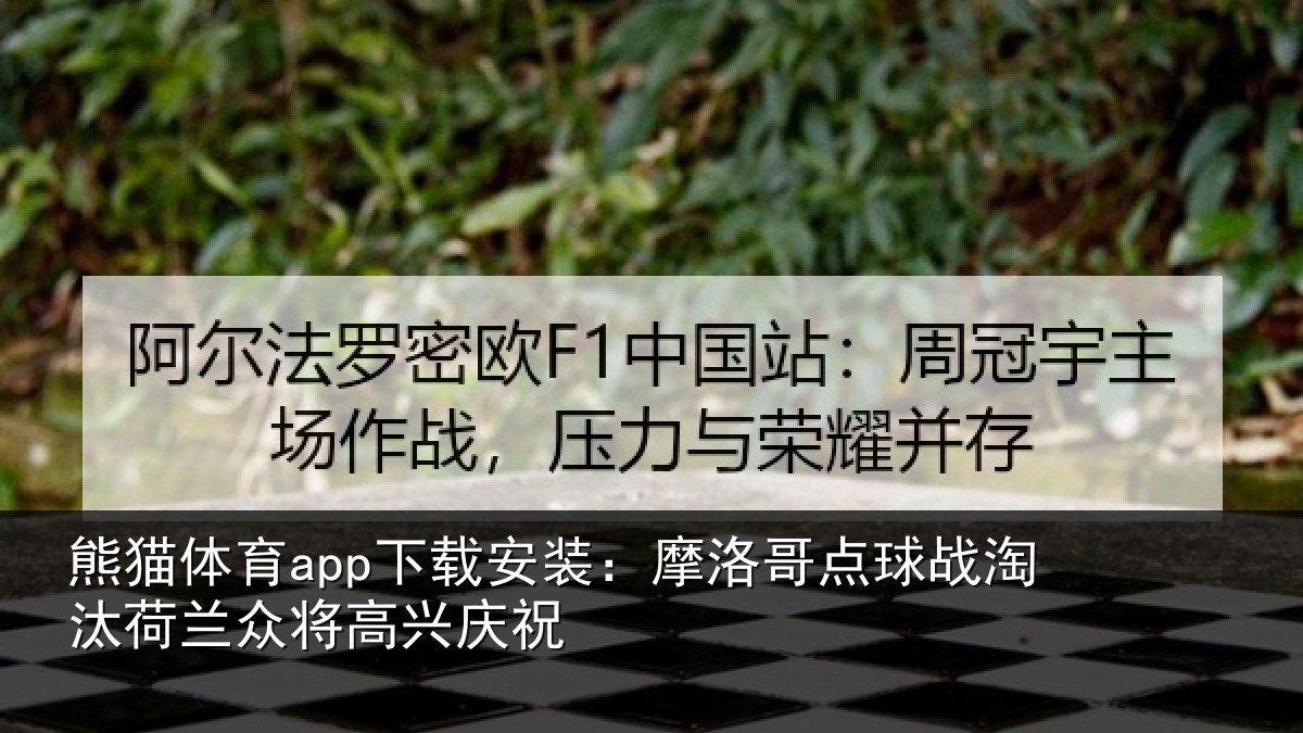 熊猫体育app下载安装:摩洛哥点球战淘汰荷兰众将高兴庆祝