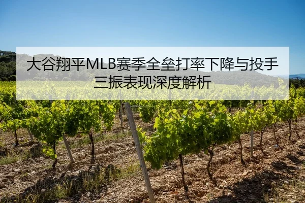 大谷翔平MLB赛季全垒打率下降与投手三振表现深度解析